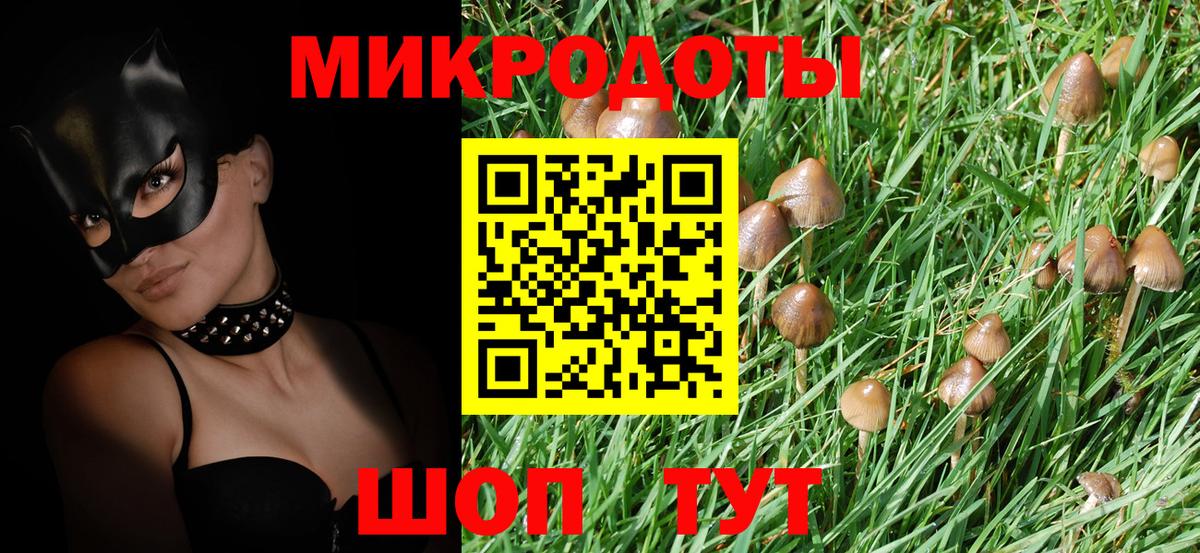 Псилоцибиновые грибы прущие грибы Камышлов