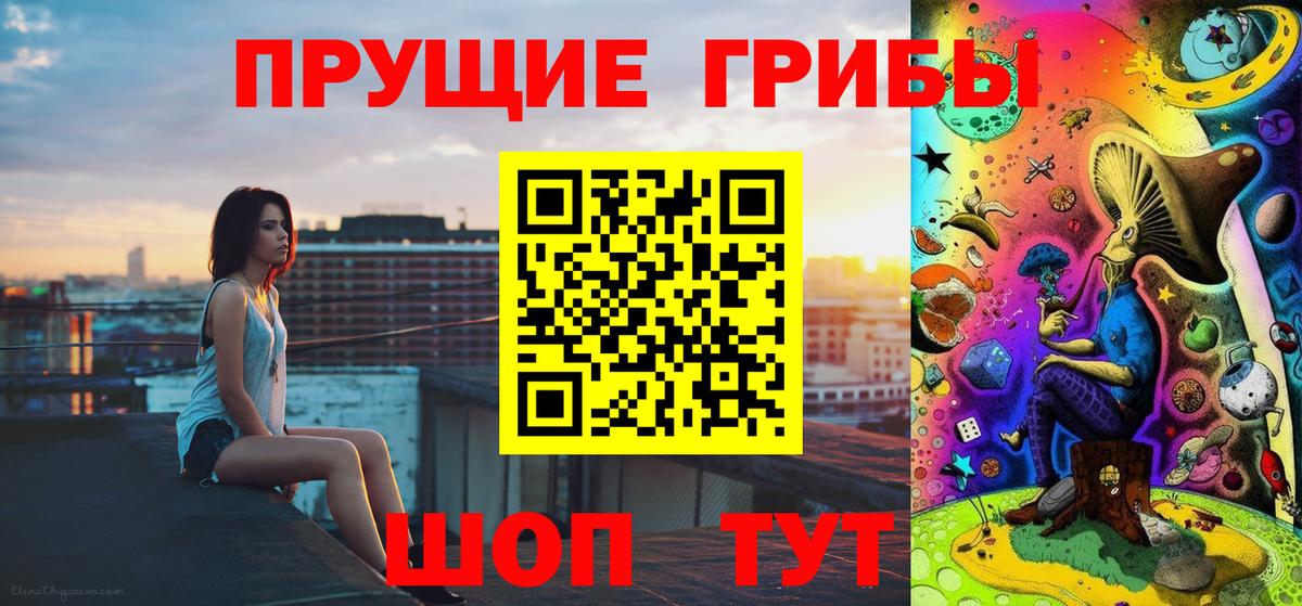 Псилоцибиновые грибы мухоморы  Вход с VPN  Камышлов 